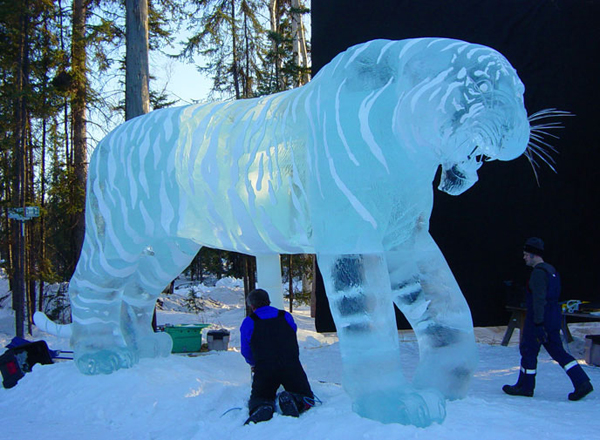 Brice and Brown_tiger ice sculpture_"A Rabbit’s View” ice tiger with stanchion. In daylight, natural lake ice looking very blue.