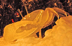 “Beach Walker,” ice sculpture of a crab by Junichi Nakamura and Steve Brice. Photo by Steve Iverson for Ice Alaska’s “Walk in the Park.”
