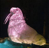 Ice sculpture of a walrus.